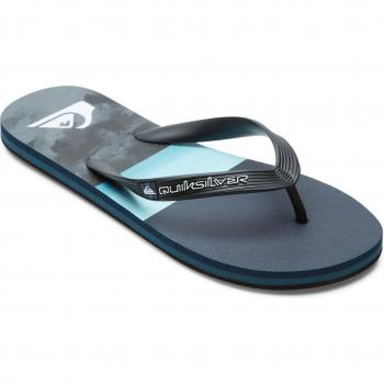 Chanclas Quiksilver Molokai Panel para hombre en color multicolor