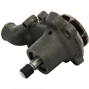 Airtex 11162 Bomba de Agua