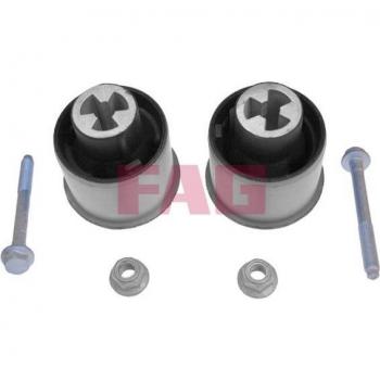 Juego de reparación FAG 830 0031 30 para cuerpo del eje con rodamientos