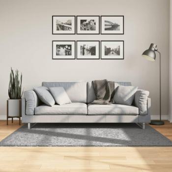 Alfombra larga Shaggy Modern Grey 120x170 cm