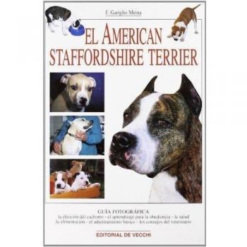 El American Staffordshire terrier