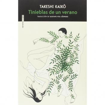 Tinieblas de un verano - Takeshi Kaiko