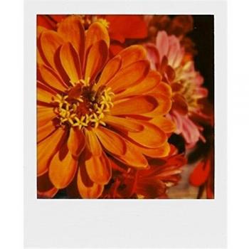 Impossible 2785 - Película fotográfica instantánea para Polaroid 600