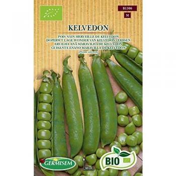 Germisem Orgánica Kelvedon Semillas de Guisantes 80 g, ECBIO1306