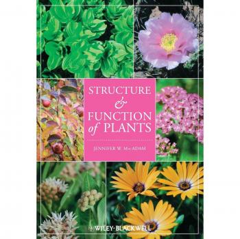 Plant Structure and Function - Paperback Edition by John Wiley & Sons