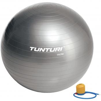 Tunturi-Fitness 14Tusfu279 Balón Suizo, Unisex Adulto, Plata, 75 cm