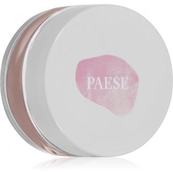 Paese Mineral Blush Powder 301N Dusty Rose 6g