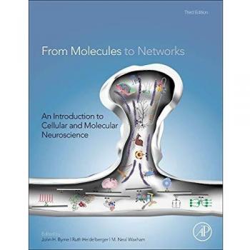 From Molecules to Networks: An Introduction to Cellular and Molecular Neuroscience - Comprehensive Guide to Neurobiology
