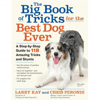 Big Book of Tricks for the Best Dog Ever, The