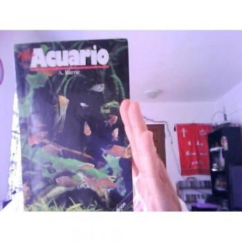 Mi acuario