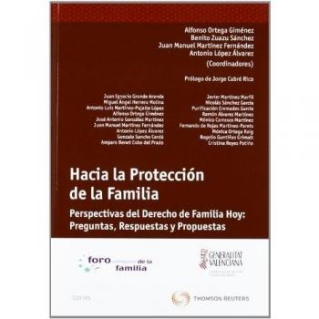 Hacia la protección de la familia - Perspectivas del Derecho de familia hoy: preguntas, respuestas y propuestas