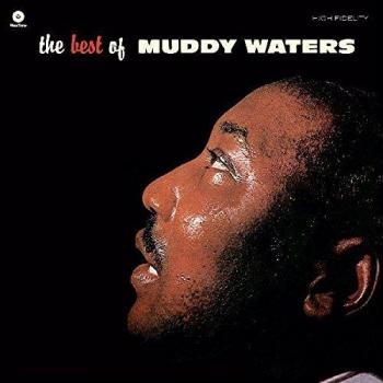Muddy Waters Greatest Hits Vinyl Record