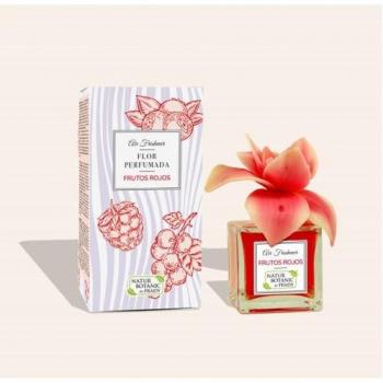 Ambientador Natur Botanic Frutos Rojos 90ml