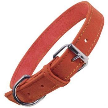 Collar para Perro Gloria Oasis Rojo 45 x 1,8 cm