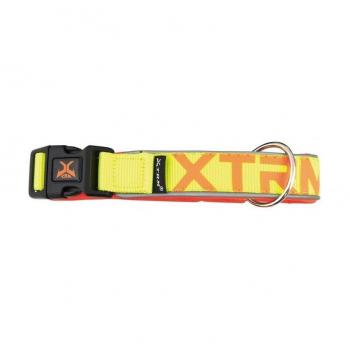 Nayeco Collar X-TRM Neon Flash Limón para Perros, Talla XXL, 38 mm x 65-75 cm