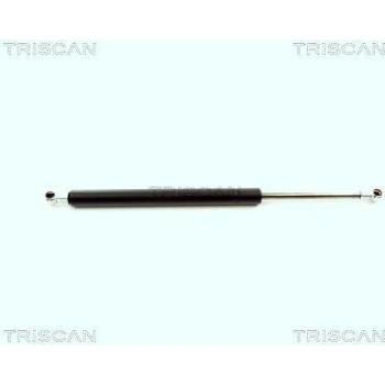 Amortiguador de Maletero Triscan para BMW 3er E46