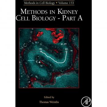 Methods in Kidney Cell Biology Part A: Volume 153