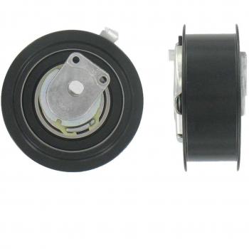 SKF VKM 11220 Kit tensor de distribución
