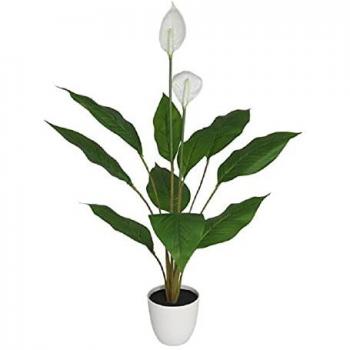 Maceta Espatifilo 98cm - Decoración Elegante | Ideal para Interiores | Maceta para Jardín