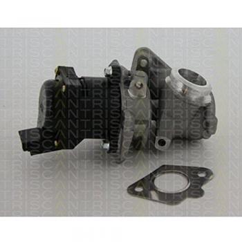 Válvula EGR TRISCAN 8813 10010
