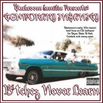 Temporary Insanity: Bitchez Ne