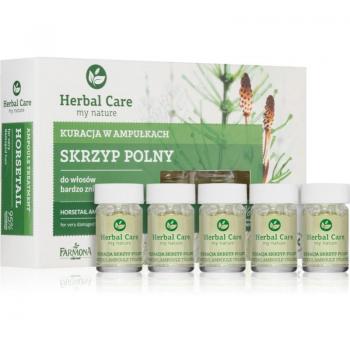 Farmona Herbal Care Nourishing Anti-Hair Loss and Hair Growth Stimulating Agent & Horsetail Intensive Treatment Set (5 ml x 5 pcs)