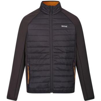 Chaqueta Deportiva para Hombre Regatta Clumber IV Hybrid Negro