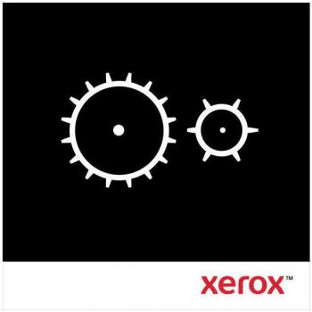 Xerox 113R00456 - Tambor de impresión