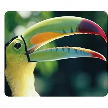 'Arco Iris De Tucán (Diseño 101) Animales de alfombrilla de ratón Pájaros: de calidad Mousepad/de muy reissfestem especial caucho con fuerte haftender parte inferior para un ajuste óptimo - Compatible para todos los tipos de ratón
