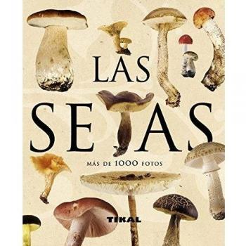 Setas
