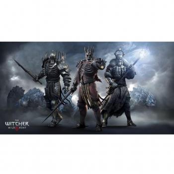 26x14 inch The Witcher 3 Wild Hunt Silk Poster Seda Cartel 9GS6-6B8