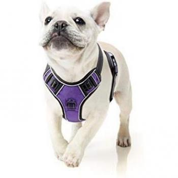 HEELE Arnés Antitirones Perro Pequeño Púrpura Chalecos Acolchados Mascotas Entrenamiento Correas Ajustables Reflectantes Malla Respirable Confortable Tamaño S Pequeño