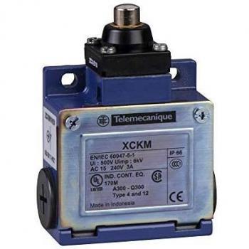 Schneider Electric XCKM110 Limit Switch Xckm, Metal End Plunger, 1Nc+1No, Snap Action, Pg11