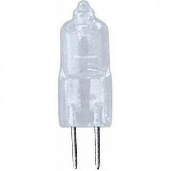 Seliger 40131 - Reemplazo de 10W Bombilla, 2Y fijado para el nebulizador, humidificadores