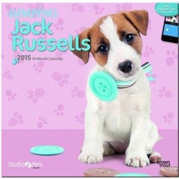 Jumping Jack Russells 2015 Wall by Myrna