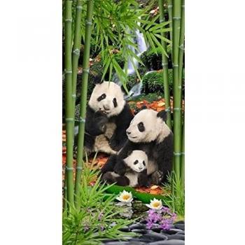 Island Gear - Panda Family Among Bamboo Trees 30\ x 60\ Velour Beach Towel by Island Gear