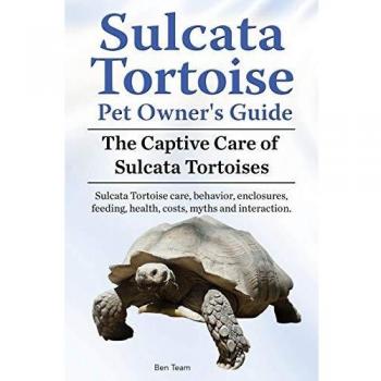 Sulcata Tortoise Pet Owners Guide. The Captive Care of Sulcata Tortoises. Sulcata Tortoise care, behavior, enclosures, feeding, health, costs, myths and interaction.