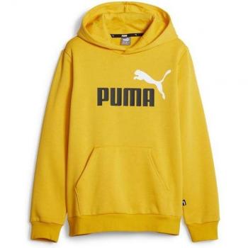 Sudadera Puma Essentials+ 2 Colores Big Logo para Niño