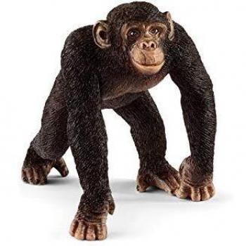 Schleich- Figura chimpancé macho, 5,7 cm