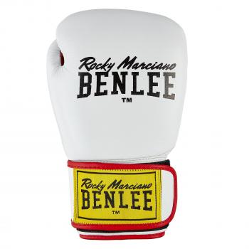 Benlee Draco 14 oz High-Quality Leather Boxing Gloves for Kids and Unisex