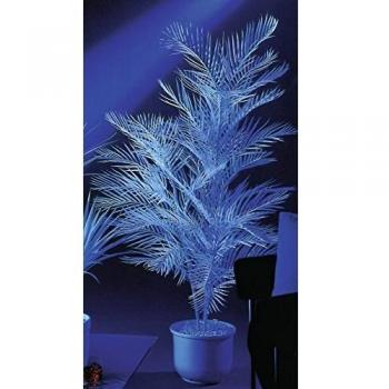 Europalms 90 cm 1 Pieza Kentia lúcido, Blanco