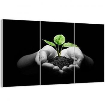 Cuadro sobre vidrio - Impresiones sobre Vidrio - Naturaleza planta ciencia protección - 105x70cm - Decoracion de Pared - Impresión en Vidrio - Cuadro en vidrio - Cuadro de Cristal - GCE105x70-2188