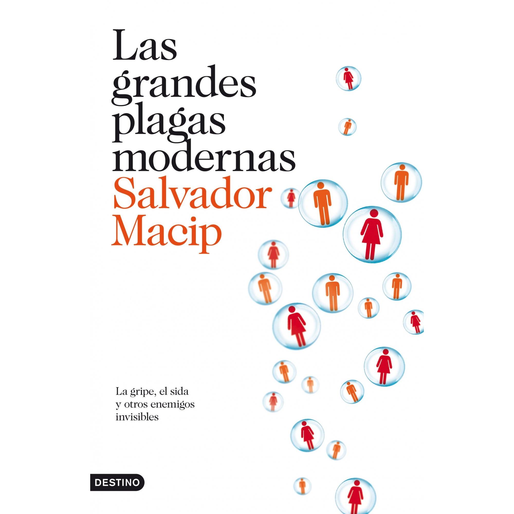 Imagen Principal