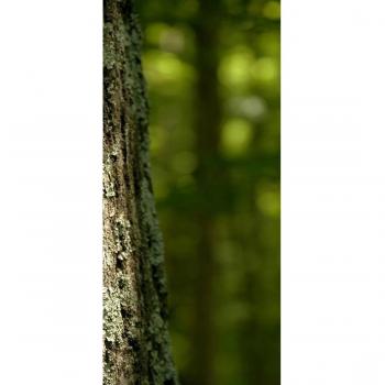 peelitstickit id-0815 60 ancho x 130 cm de altura Hermosa Naturaleza Mural de pared vinilo de alta calidad