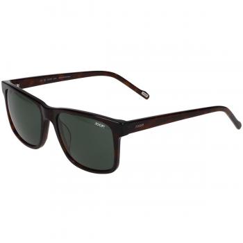 Joop! 7101 8940 Men's Brown Sunglasses, Size 54