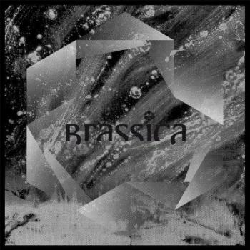 Temple Fortune EP [Vinilo] - Brassica