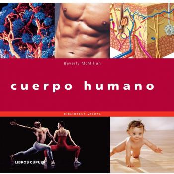 Cuerpo humano