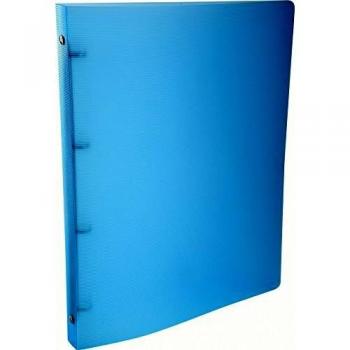 Exacompta 810045 - Carpeta de proyectos A4, multicolor