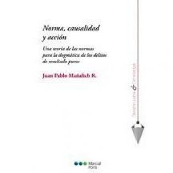 Norma, causalidad y acción: Una teoría de las normas para la dorgmática de los delitos de resultados puros