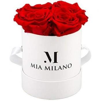 Mia Milano Rosenbox_M_Weiss.Rot